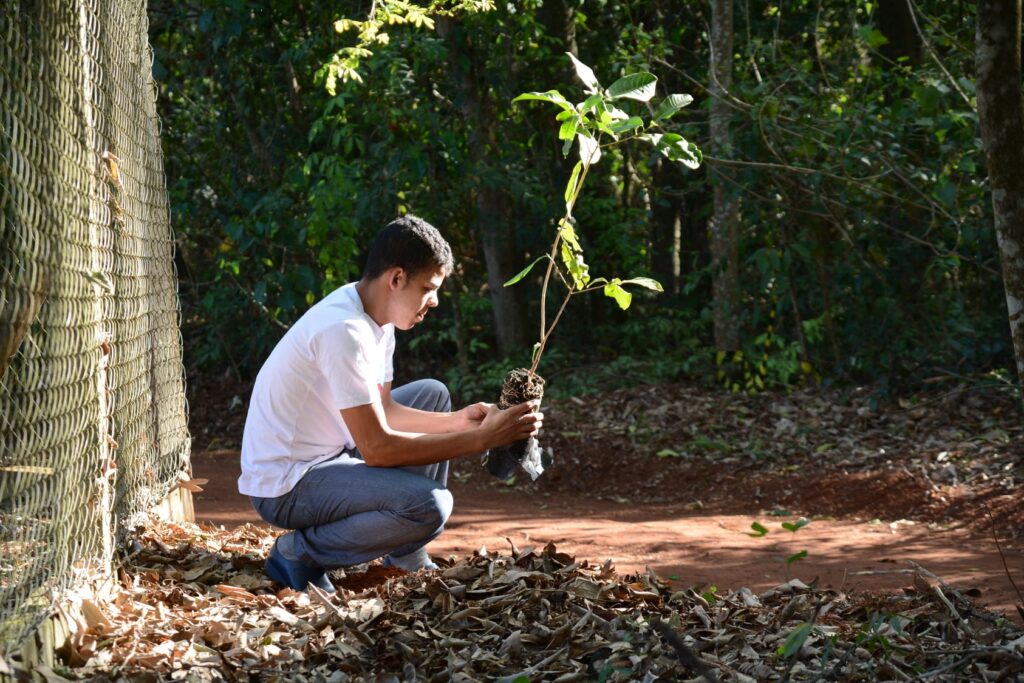 Projeto Gênesis vai plantar 3,5 mil de mudas de espécies nativas até abril