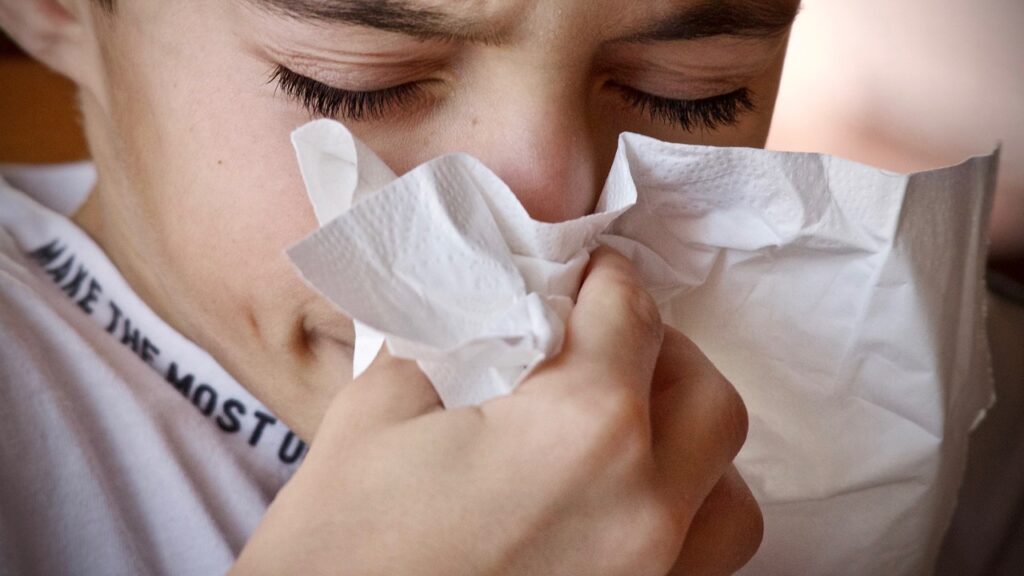 Como prevenir e combater bolor ou mofo