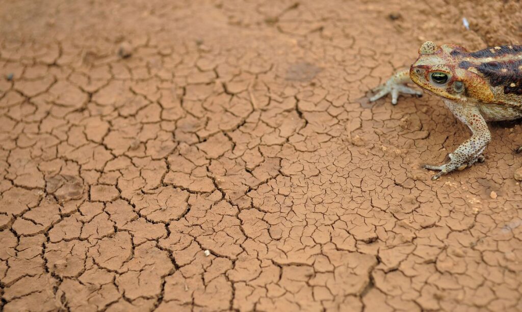 Segundo dados do ONS (Operador Nacional do Sistema Elétrico), que faz a gestão do sistema, o volume de chuva se manteve abaixo do normal em maio, e o país entra no período seco em situação delicada no que se refere a oferta de água