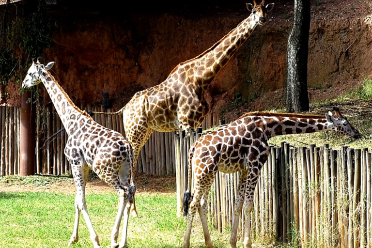 Zooparque de Itatiba