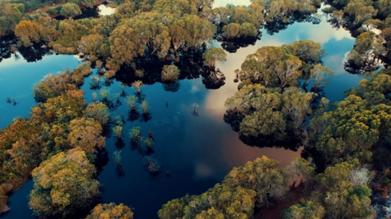 Motivos para viajar para o Mato Grosso do Sul