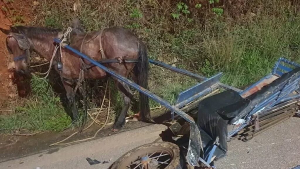 Criança de 10 anos morre após acidente entre charrete e moto no Sul de Minas