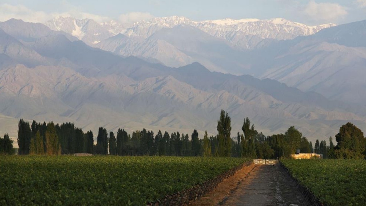 Zuccardi Valle de Uco