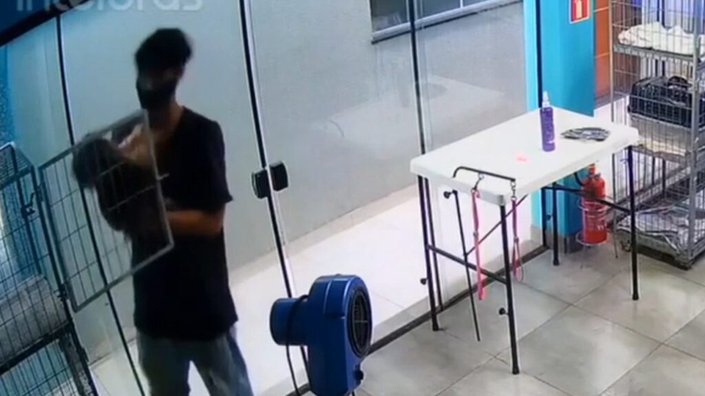 homem dançando com cachorrinha
