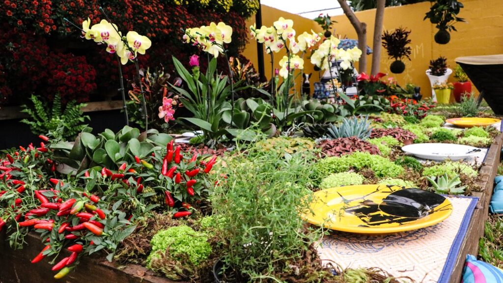 Expoflora abre inscrições para Mostra de Paisagismo e Decoração