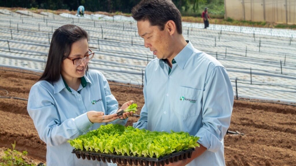 Horticeres aposta na alimentação saudável para continuar crescendo