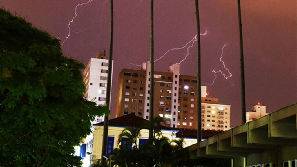 Defesa Civil de Campinas registra cinco quedas de árvores e dois alagamentos de imóvel