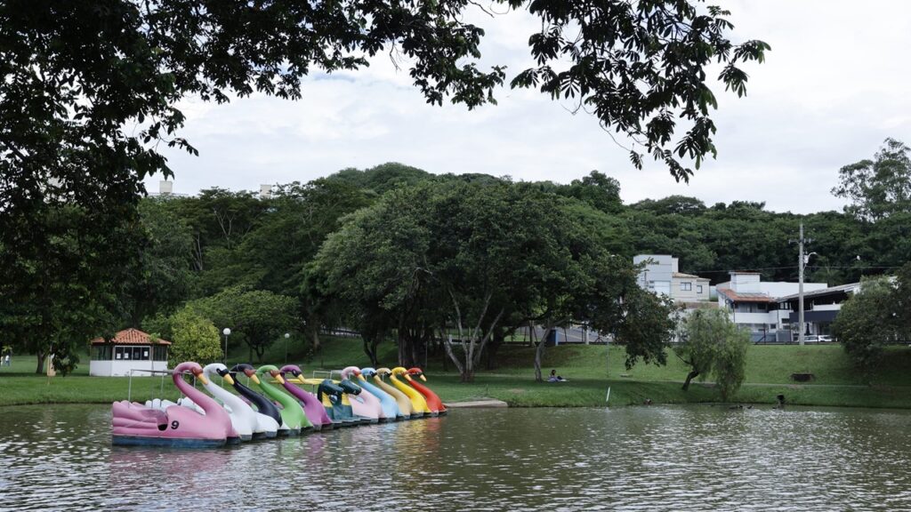 Pedalinhos do Parque da Rua do Porto funcionam em horário especial em janeiro