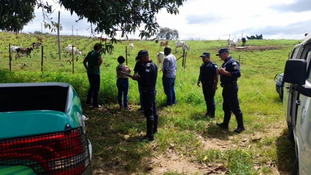 GCM e Bem-Estar Animal atendem denúncia de possível caso de maus-tratos no bairro Macuco