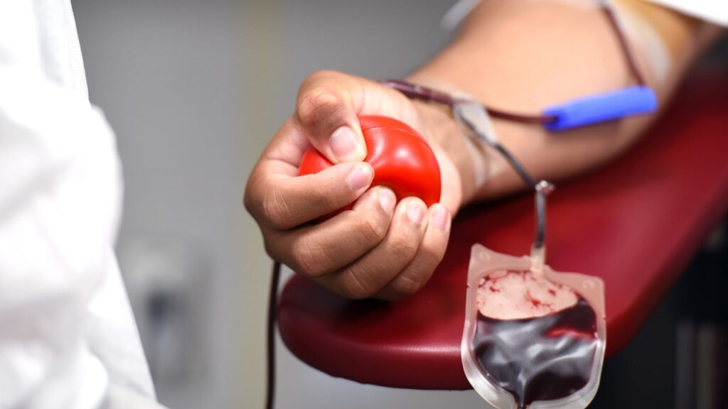 Confira 10 perguntas e respostas sobre doação de sangue Hematologista do Vera Cruz Hospital, em Campinas (SP), José Francisco Marques tira dúvidas e salienta a importância de se manter bancos abastecidos