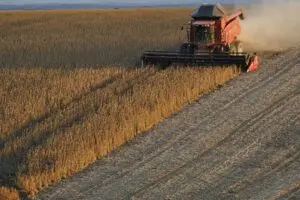 Plano Safra destina R$ 364,22 bilhões para apoiar produção agropecuária nacional