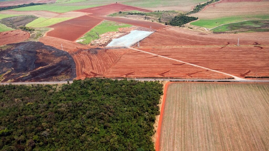 Cordeirópolis vai investir R$ 2 milhões em projeto de reflorestamento com 80 mil árvores nativas. A Secretaria de Meio Ambiente investirá R$2 milhões em um importante projeto de reflorestamento, visando preservação ambiental e aumento da biodiversidade