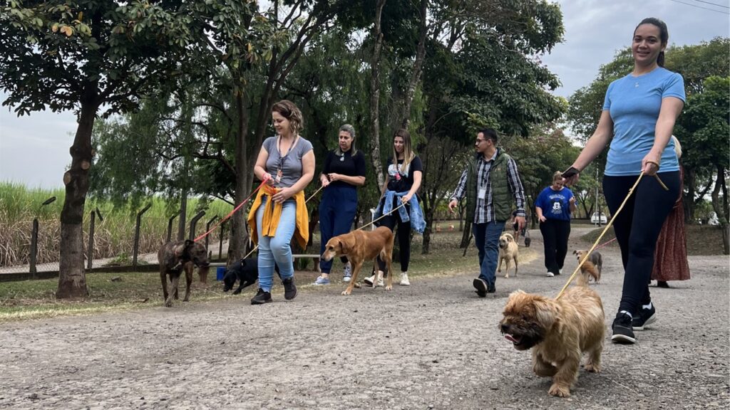 Domingo Animal em Piracicaba Evento visa a promoção da adoção responsável e a sensibilização para a castração de animais