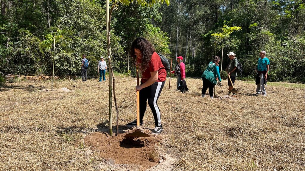 Dia da Árvore: Piracicaba em transformação com expansão da Floresta Urbana