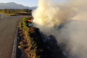 SP Sem Fogo atenção redobrada para o risco de incêndios florestais