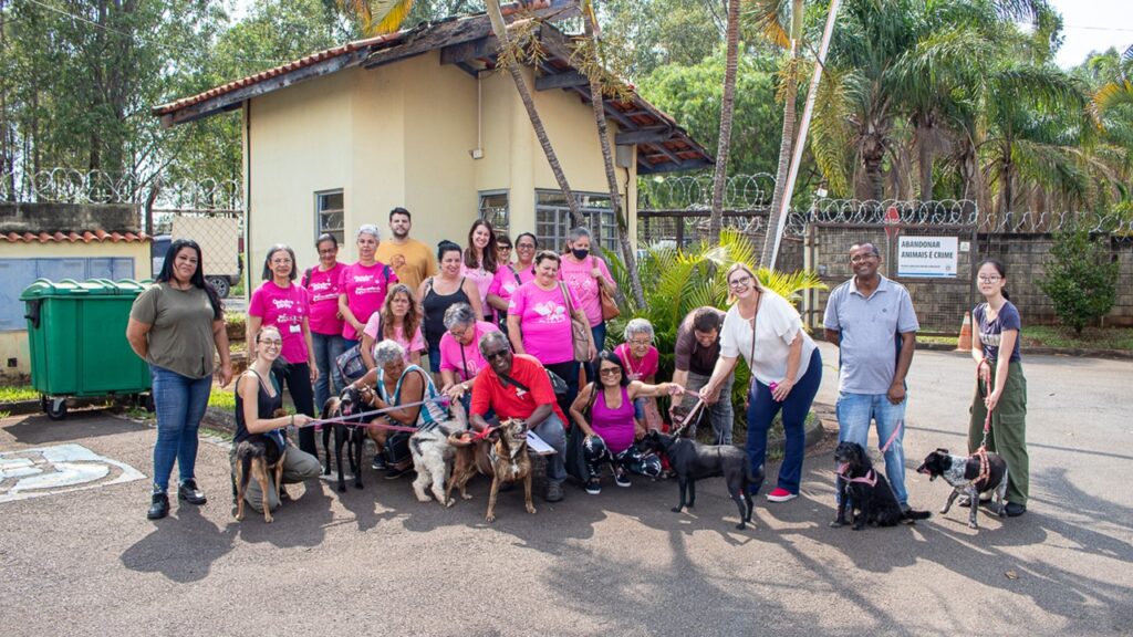 Cães do Lar Temporário de Limeira têm dia especial na Semana dos Animais