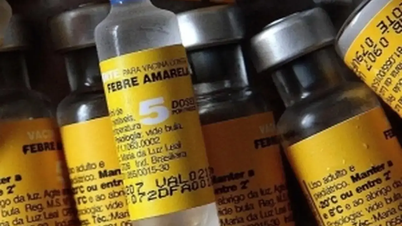 Alerta de Febre Amarela na Região Metropolitana de Campinas