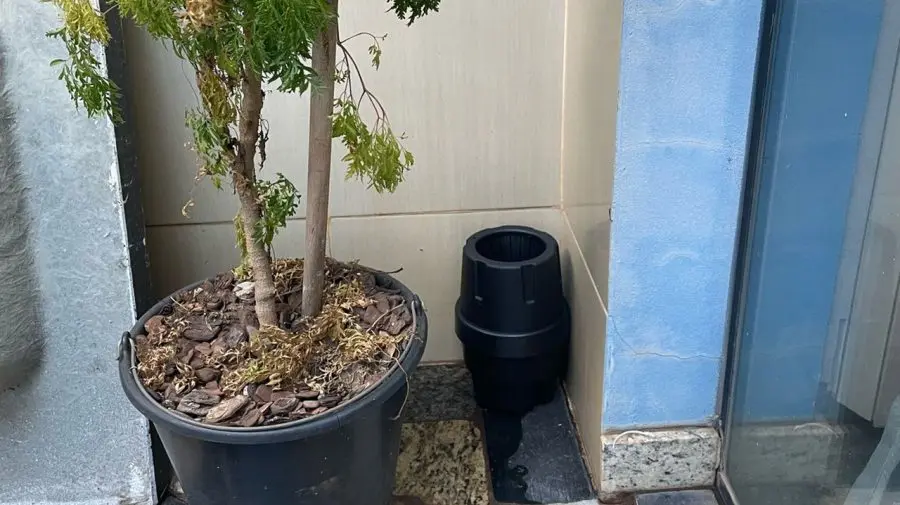Iracemápolis instala 80 armadilhas contra o Aedes aegypti; estratégia promete reduzir casos de Dengue